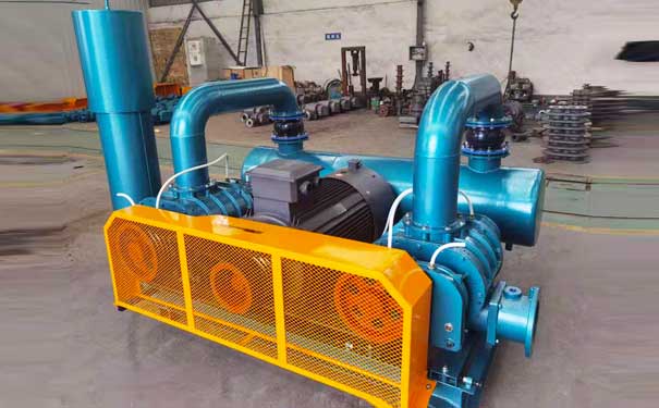 淺談羅茨鼓風(fēng)機(jī)的檢修保養(yǎng)需要注意的問題 淺談羅茨鼓風(fēng)機(jī)的檢修保養(yǎng)需要注意的問題