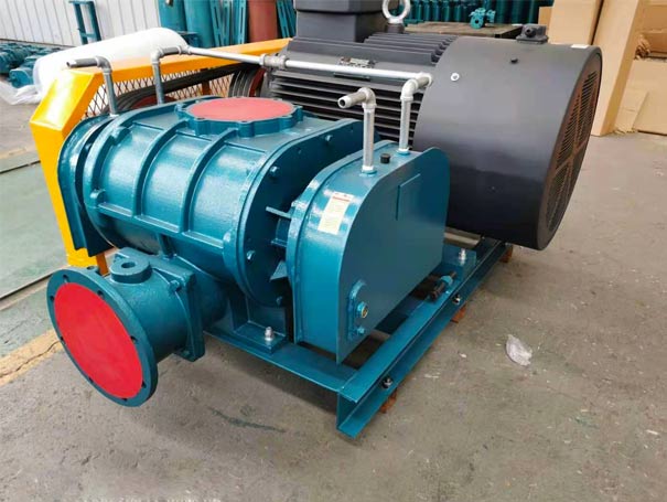 高壓水冷羅茨風(fēng)機(jī)工廠實拍圖 高壓羅茨風(fēng)機(jī)(圖3)