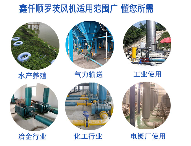 高壓羅茨風(fēng)機(jī)運用范圍 高壓羅茨風(fēng)機(jī)(圖5)