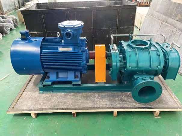 直連式羅茨風(fēng)機(jī)-直連傳動式三葉羅茨鼓風(fēng)機(jī)工廠實拍圖 直連傳動式三葉羅茨鼓風(fēng)機(jī)(圖7)