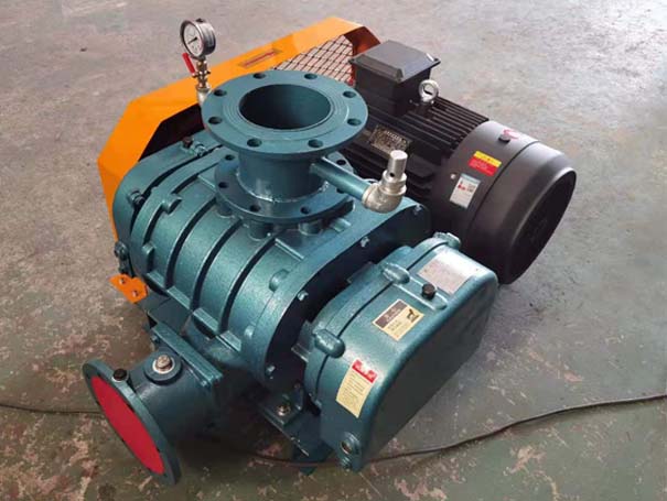 羅茨真空泵 羅茨風機廠家發(fā)貨江西羅茨真空泵XQSSR125v5臺(圖1)